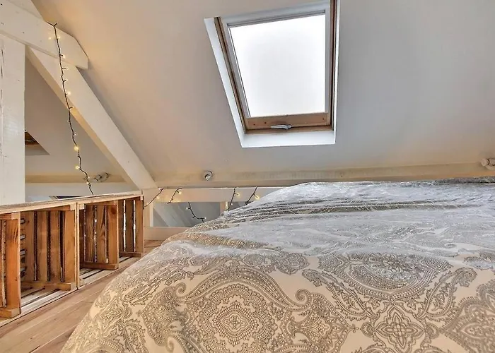 D Hotes - De 30m2 Rixensart